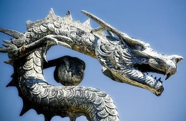 龟鹤之年指什么生肖动物