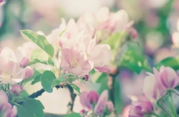 丹丹与父亲之间的情感变化