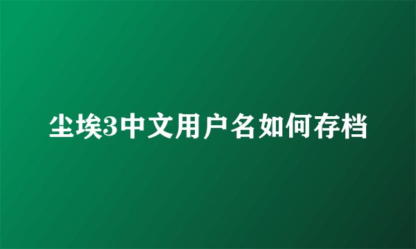 尘埃3中文用户名如何存档