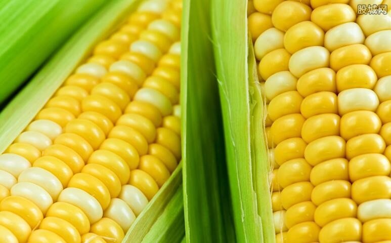 玉米价格每吨涨千元