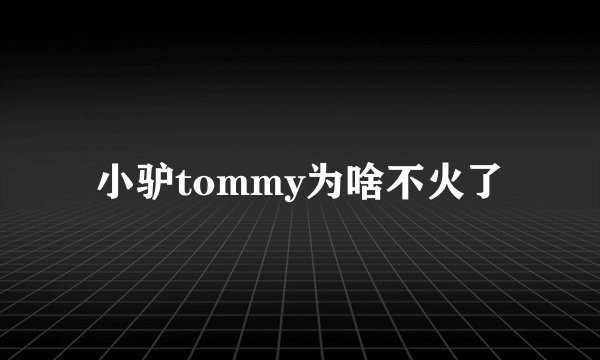 小驴tommy为啥不火了