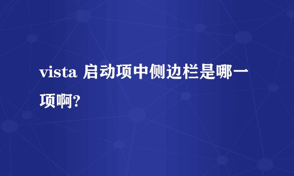 vista 启动项中侧边栏是哪一项啊?