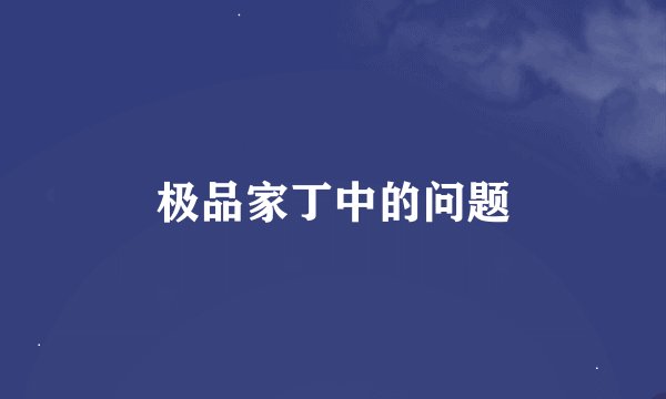 极品家丁中的问题