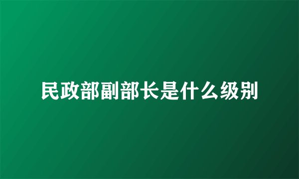 民政部副部长是什么级别