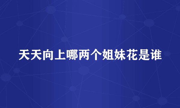 天天向上哪两个姐妹花是谁