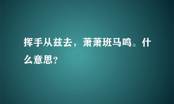 挥手从兹去，萧萧班马鸣。什么意思？
