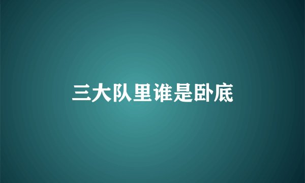 三大队里谁是卧底