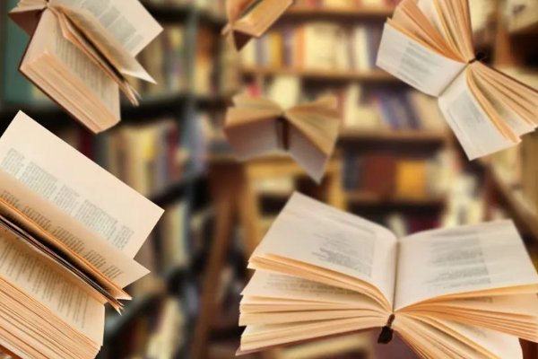 什么撼大树可笑不自量