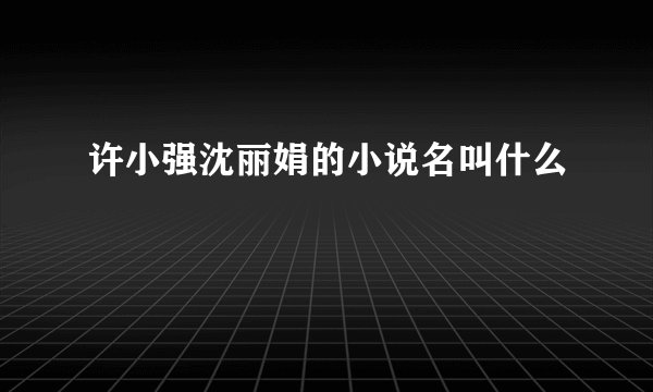 许小强沈丽娟的小说名叫什么