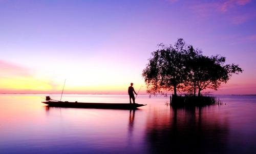 人生不在初相逢下一句是什么