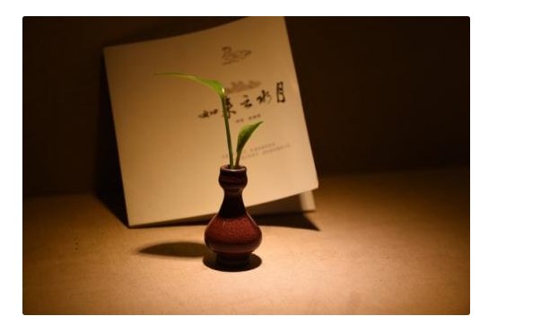 如期而至是什么意思