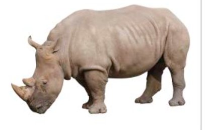 “灰犀牛”和“黑天鹅”分别是什么意思？