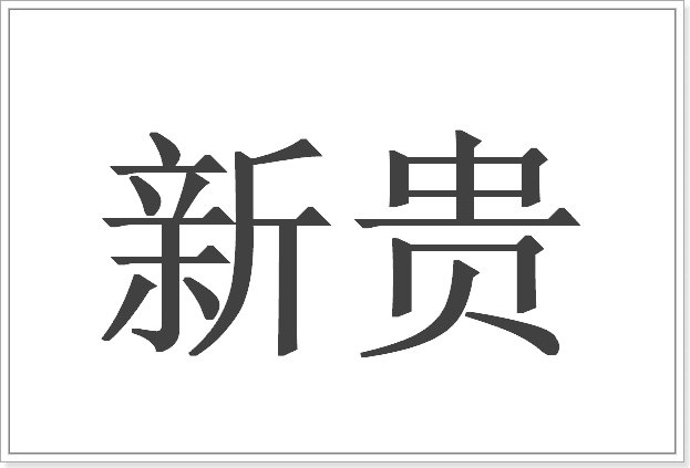 新贵是什么意思