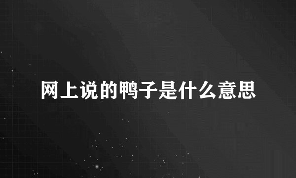 网上说的鸭子是什么意思