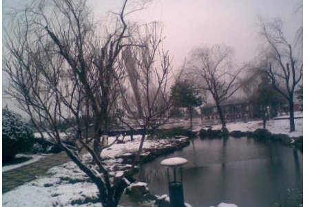 物是人非的意思是什么？