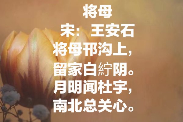 关于母爱的古诗20首