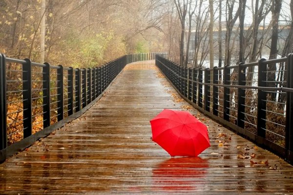 等人的诗句唯美