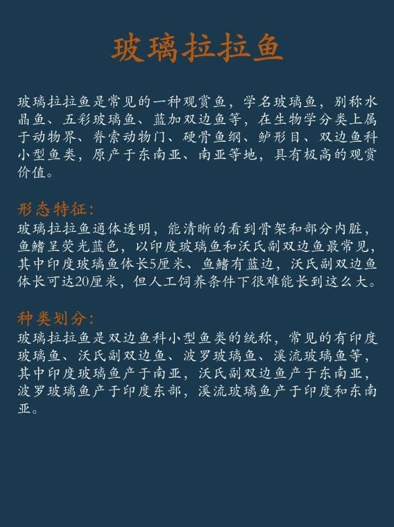 每天认识一种鱼｜玻璃拉拉