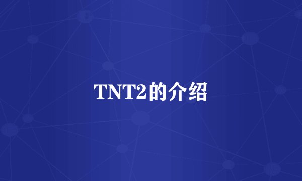 TNT2的介绍