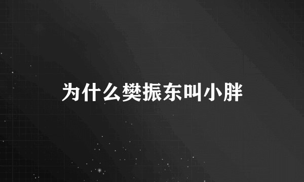 为什么樊振东叫小胖