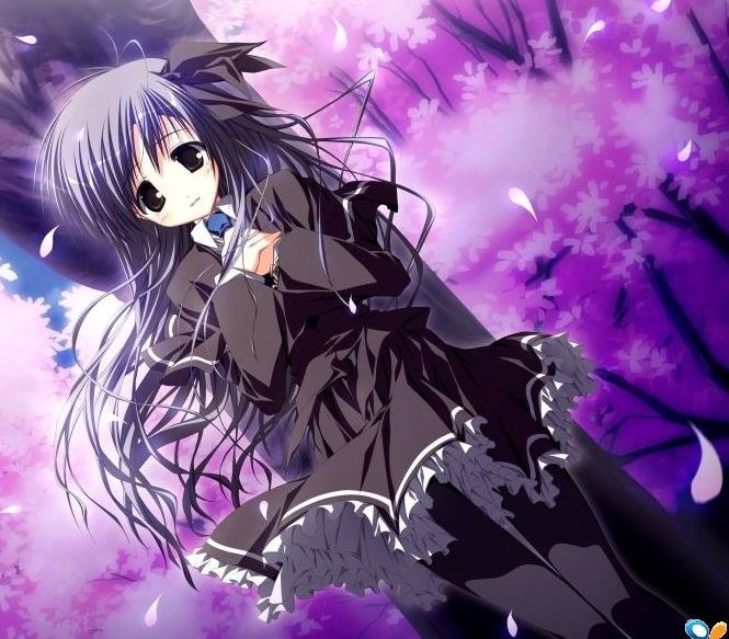 八云滨治的沙中足迹