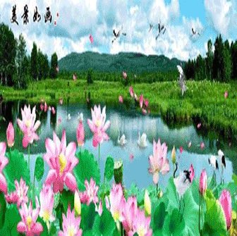 真钱扑克什么意思