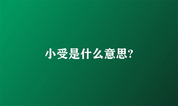 小受是什么意思?