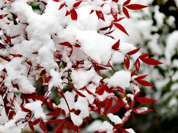 农谚语都有哪些