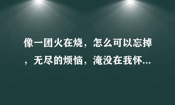 像一团火在烧，怎么可以忘掉，无尽的烦恼，淹没在我怀抱是什么歌 歌曲