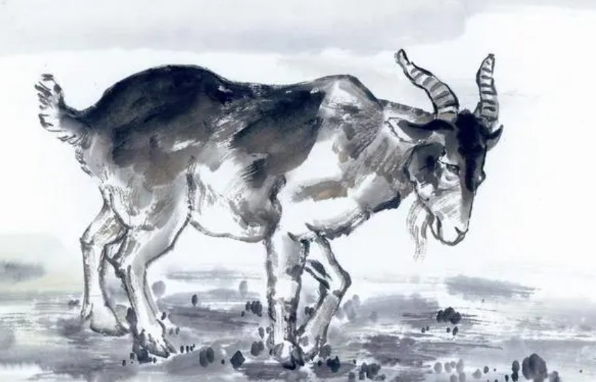 无光的生肖是什么动物图片