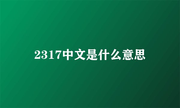 2317中文是什么意思