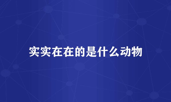 实实在在的是什么动物