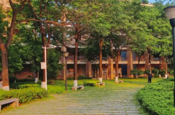 原委是什么意思