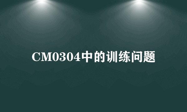 CM0304中的训练问题