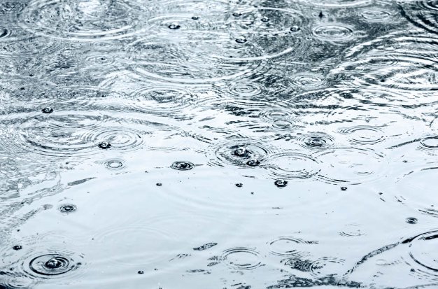 r.i.p.致哀什么意思