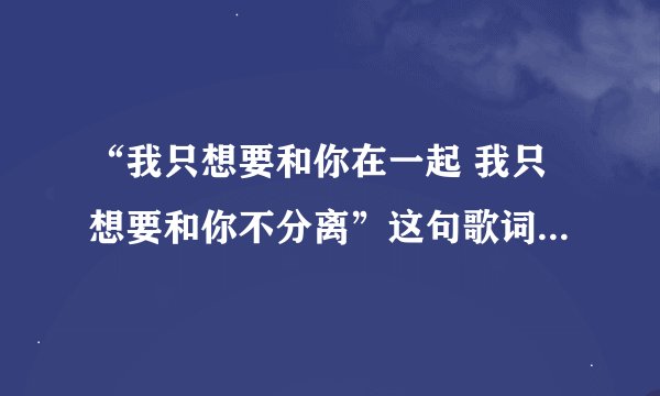 “我只想要和你在一起 我只想要和你不分离”这句歌词是哪首歌里的！