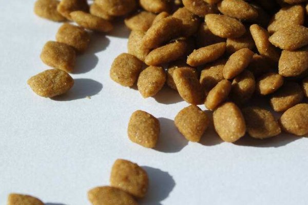 奥丁狗粮怎么样？