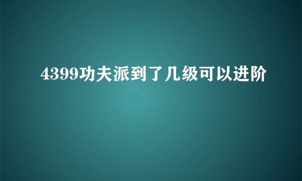 4399功夫派到了几级可以进阶