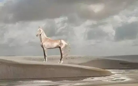 东野稷败马文言文翻译是什么?