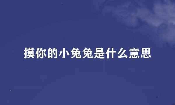 摸你的小兔兔是什么意思
