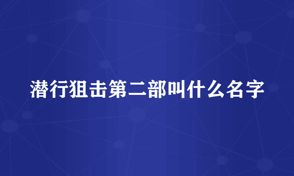 潜行狙击第二部叫什么名字
