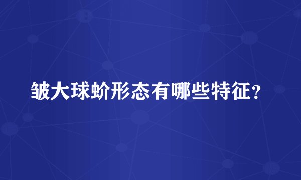 皱大球蚧形态有哪些特征？