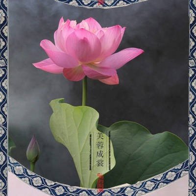 屈原的《离骚》中，“制芰荷以为衣兮，集芙蓉以为裳。”的意思是什么？
