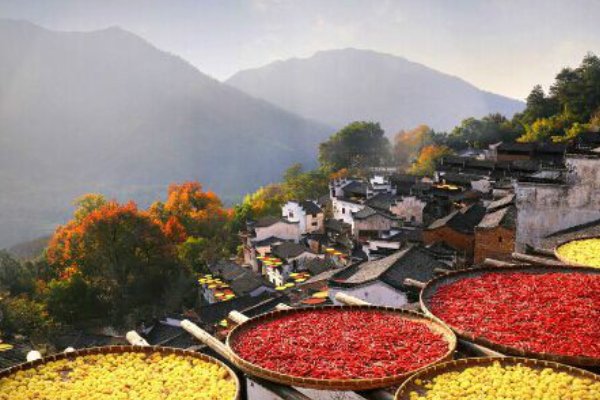 老人节是几月几日?