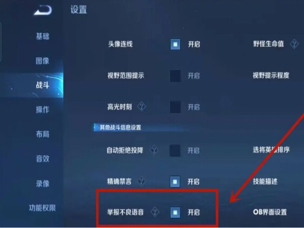 王者荣耀怎么举报语音骂人的人。