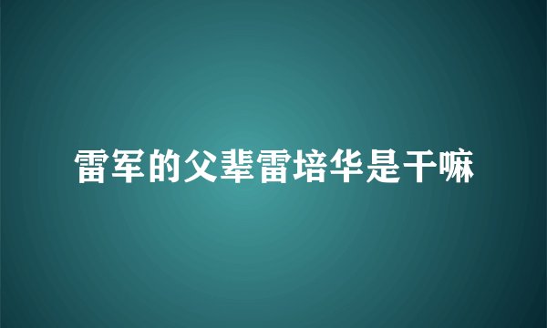 雷军的父辈雷培华是干嘛