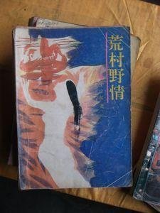 荒村野情的内容简介