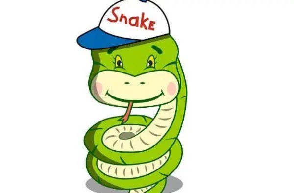 钦敬之枕打一生肖