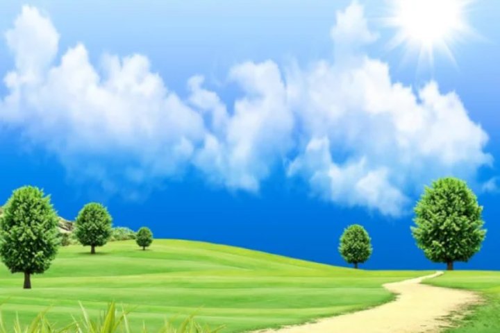 绿草如茵打一个生肖