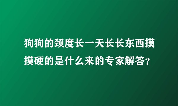 狗狗的颈度长一天长长东西摸摸硬的是什么来的专家解答？